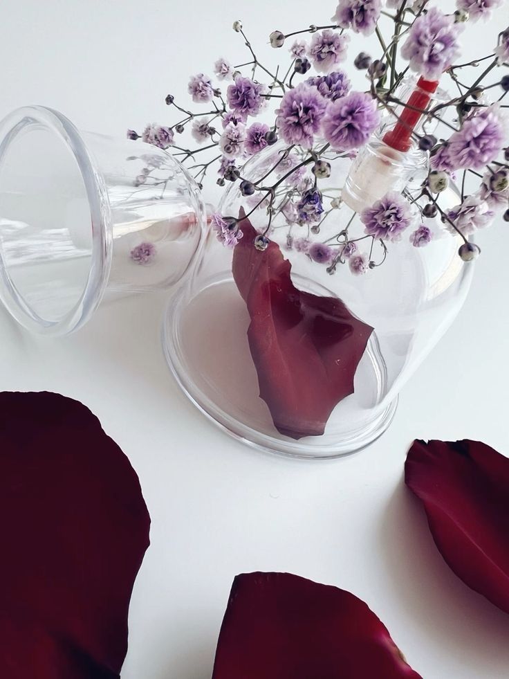 7ccdbbaf e24e 448c 8f24 e95bd8b16ded